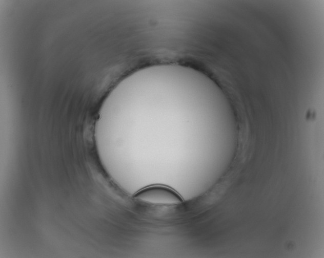 X0000112910768200909071534