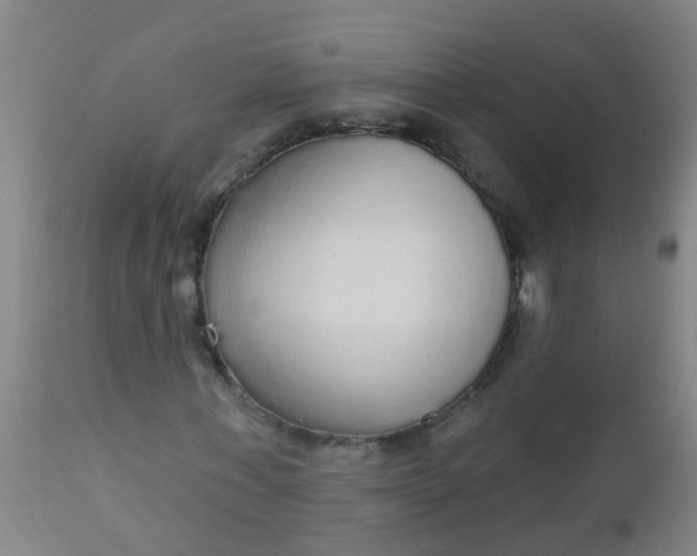 X0000112910771200909071534