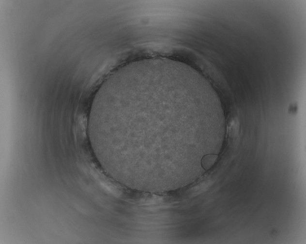 X0000112910772200909071534