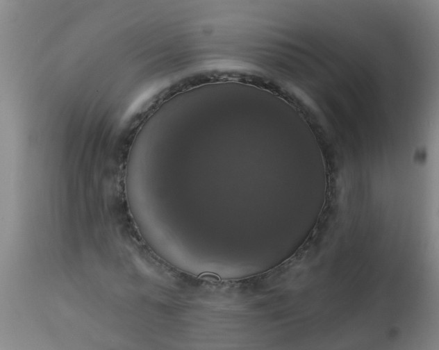 X0000112910775200909071533