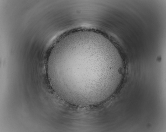 X0000112910776200909071533