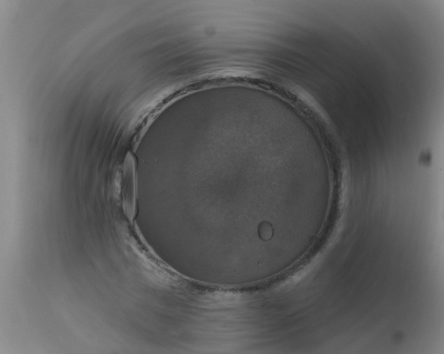 X0000112910777200909071533