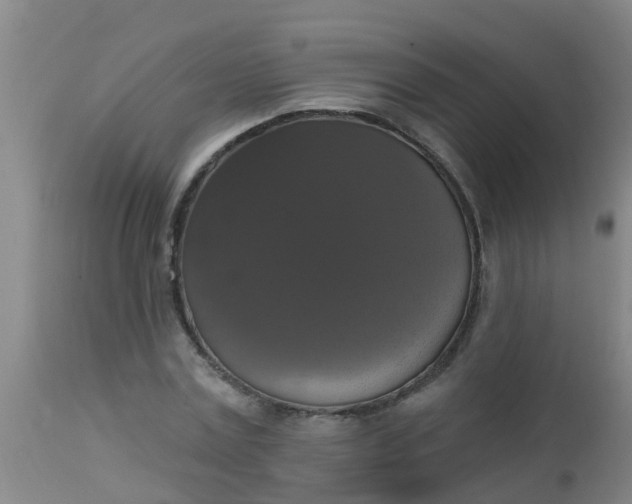 X0000112910779200909071533