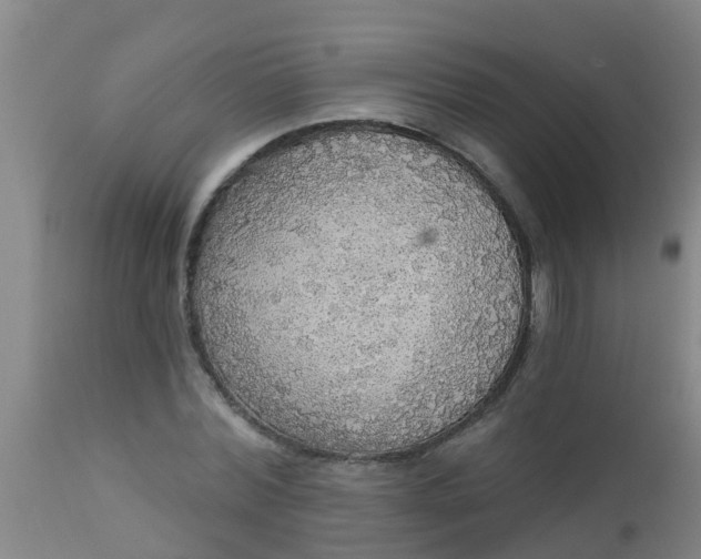 X0000112910780200909071533