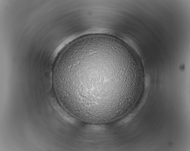 X0000112910781200909071533