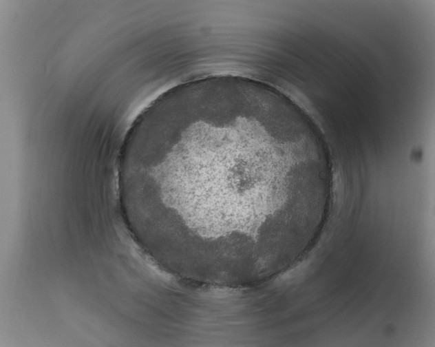 X0000112910782200909071533