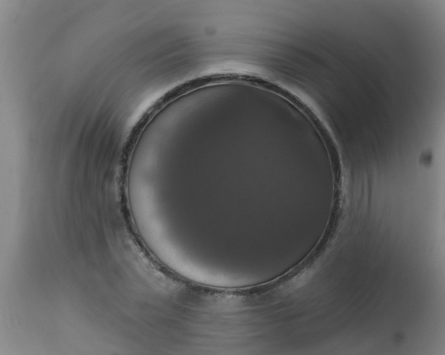 X0000112910783200909071533