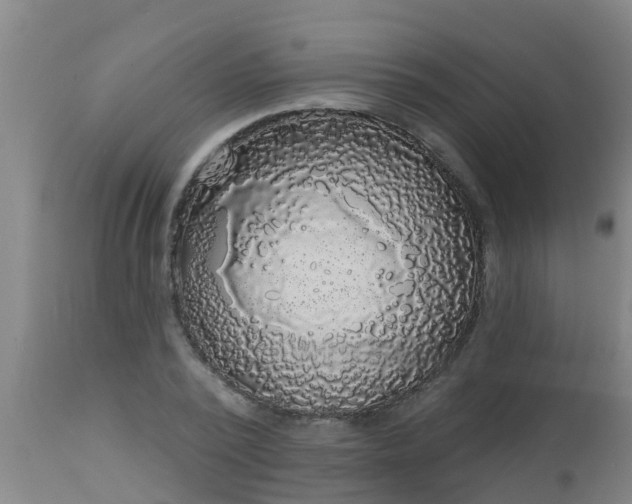 X0000112910784200909071533