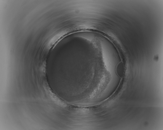 X0000112910785200909071533