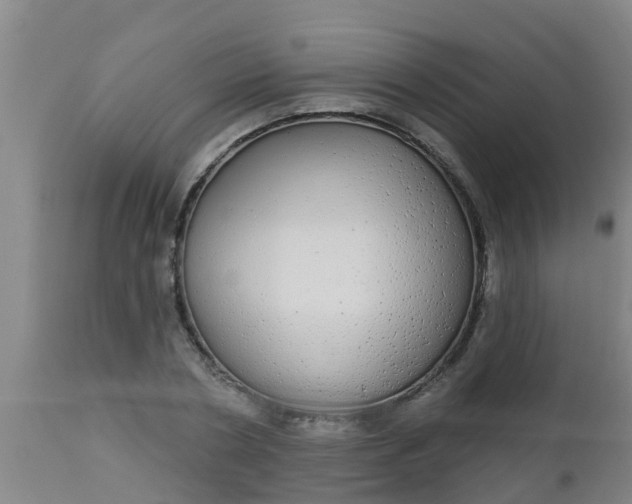 X0000112910786200909071533