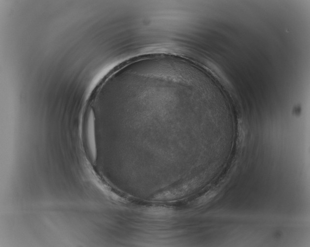 X0000112910788200909071533