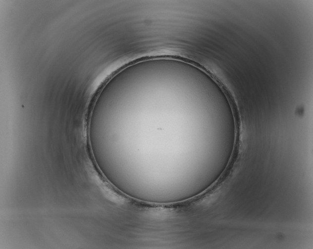 X0000112910789200909071533