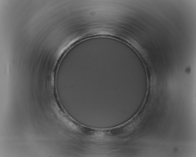 X0000112910790200909071533