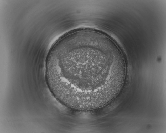 X0000112910791200909071533