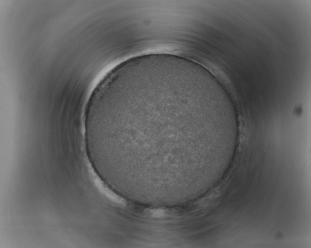 X0000112910792200909071533