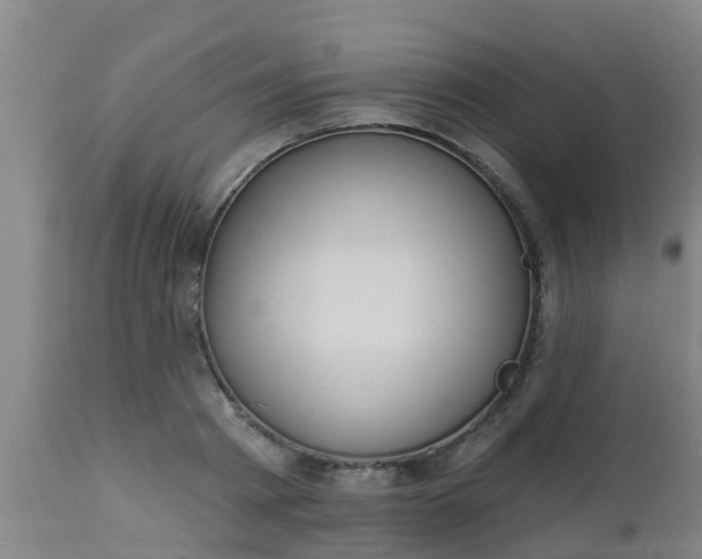 X0000112910793200909071533