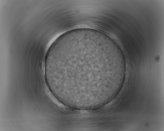 X0000112910796200909071533