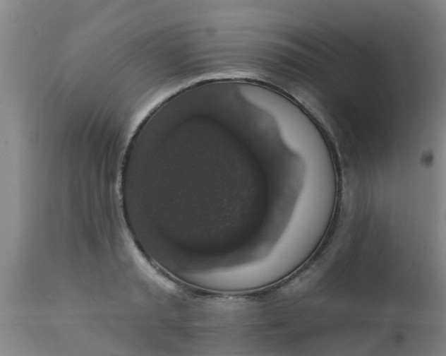 X0000112910797200909071533