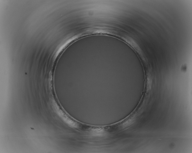 X0000112910798200909071533