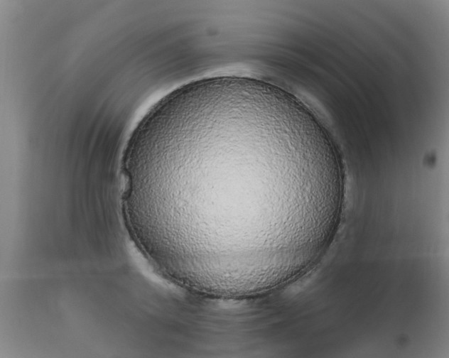 X0000112910800200909071533