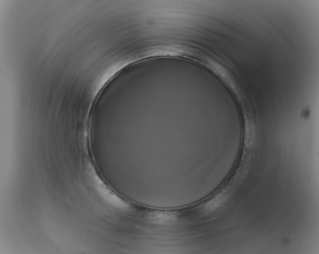 X0000112910802200909071533