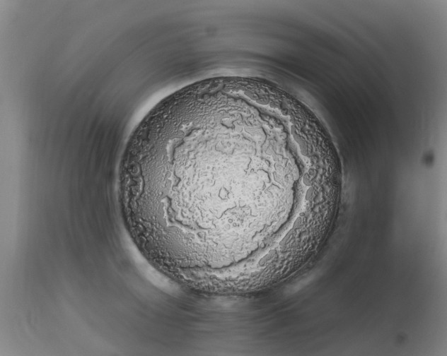 X0000112910803200909071533