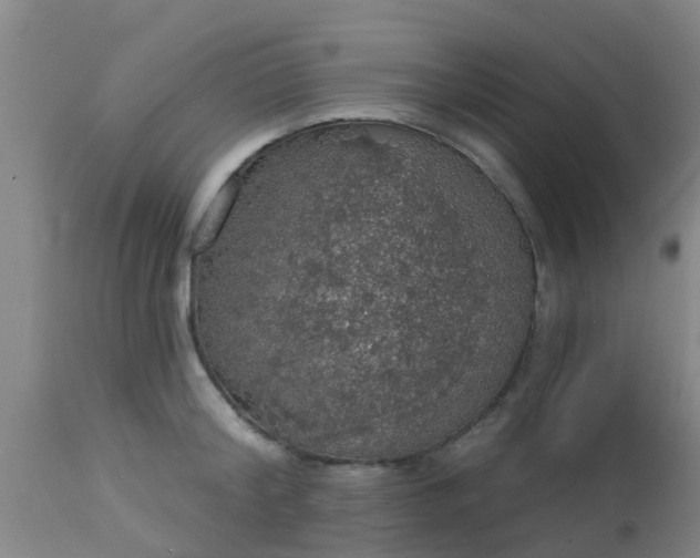 X0000112910804200909071533