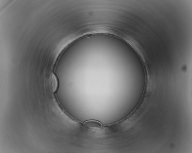 X0000112910805200909071533