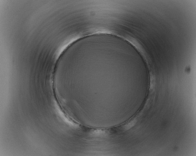 X0000112910806200909071533