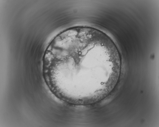 X0000112910807200909071533