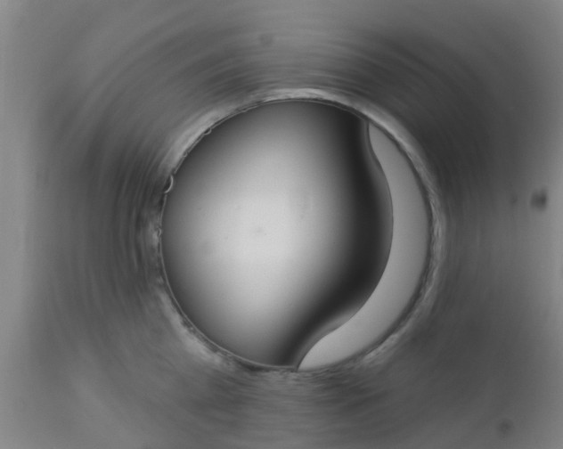 X0000112910809200909071533