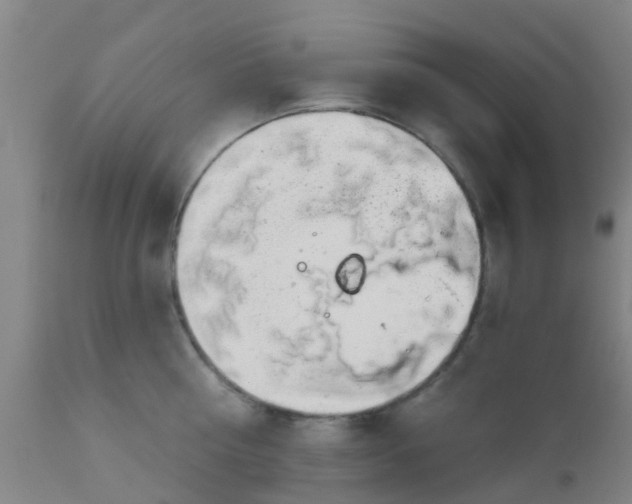 X0000112910810200909071533