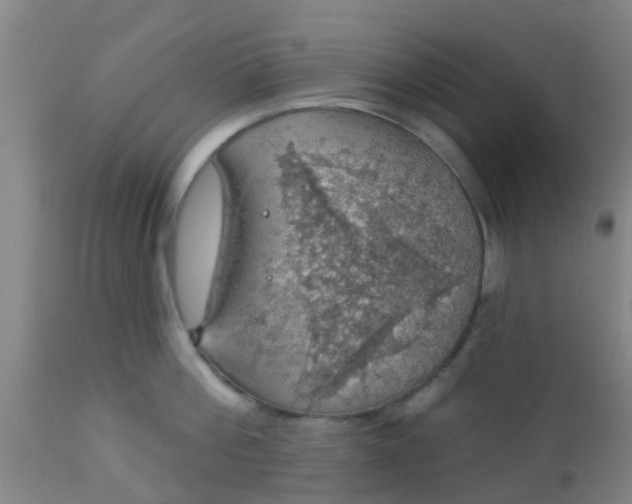 X0000112910812200909071533