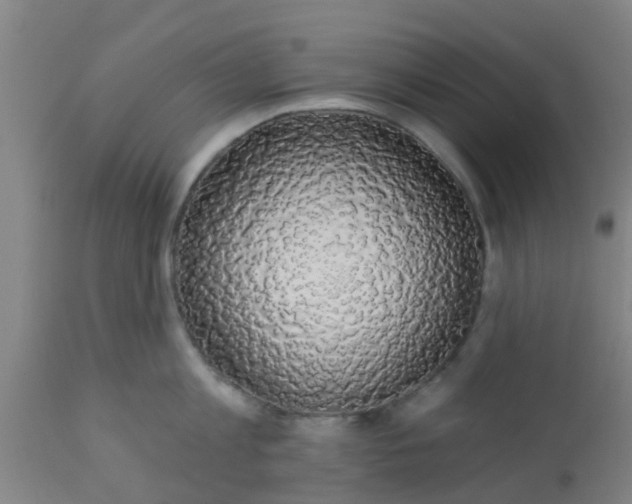 X0000112910813200909071533