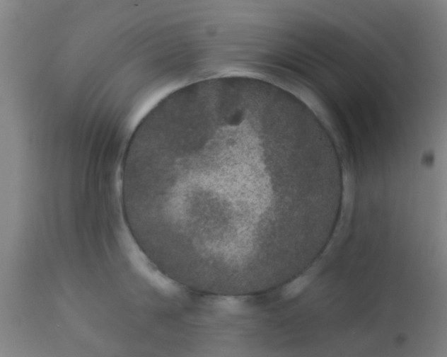 X0000112910814200909071533