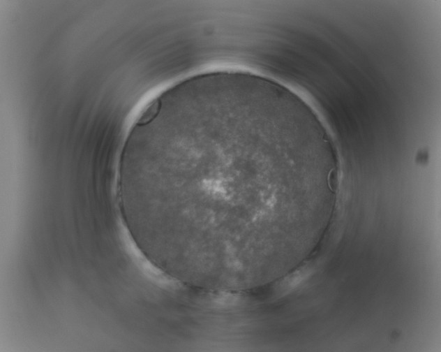 X0000112910815200909071533