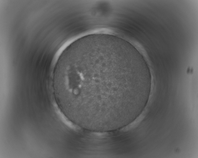 X0000112910816200909071533