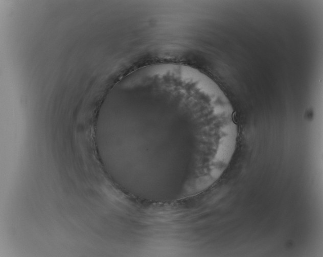 X0000112910817200909071532