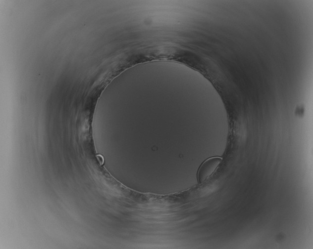 X0000112910818200909071532