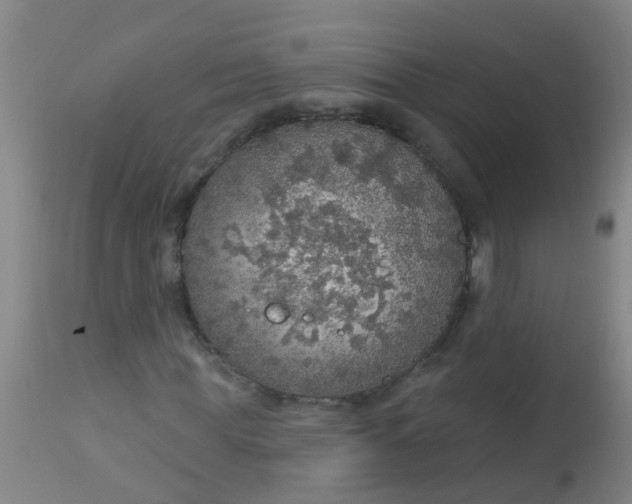 X0000112910819200909071532