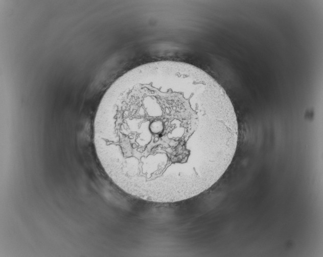 X0000112910820200909071532