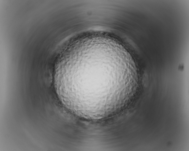 X0000112910821200909071532