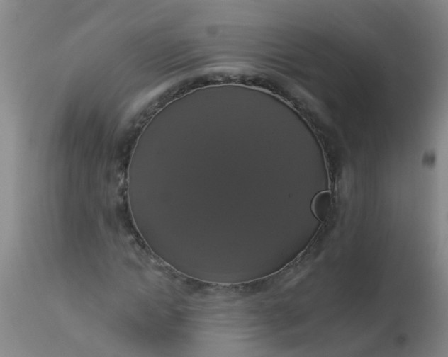 X0000112910822200909071532