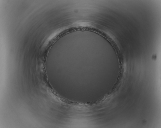 X0000112910823200909071532