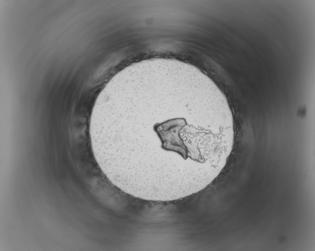 X0000112910824200909071532