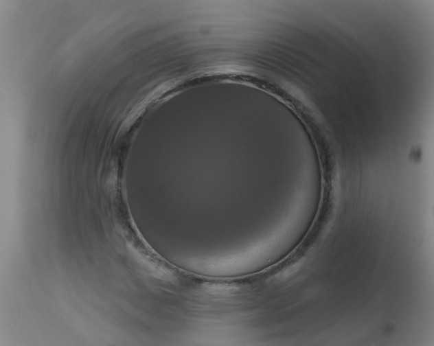 X0000112910825200909071532