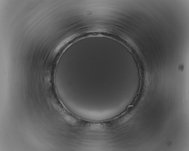 X0000112910826200909071532