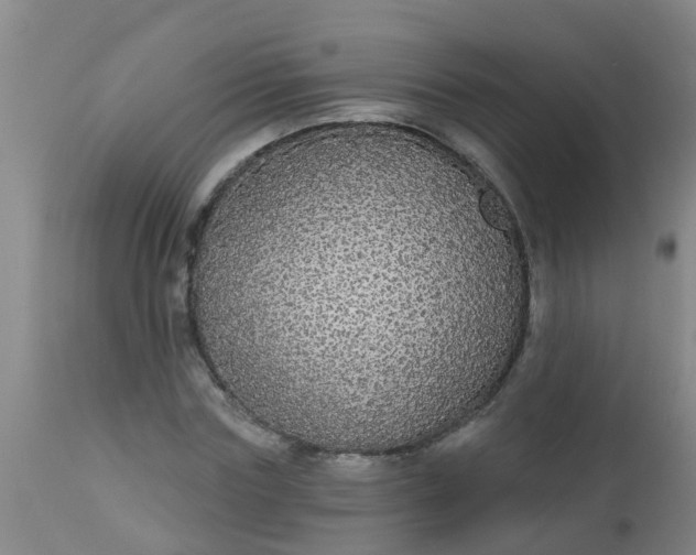 X0000112910827200909071532