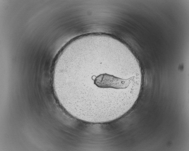 X0000112910828200909071532