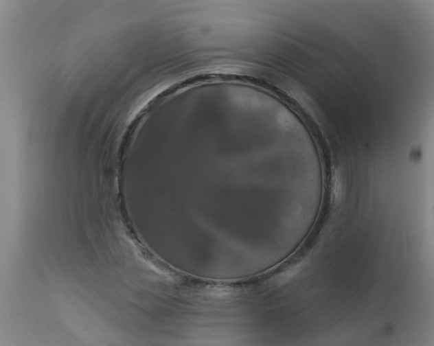 X0000112910829200909071532